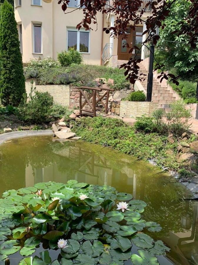 ميسكولك Villamerica المظهر الخارجي الصورة